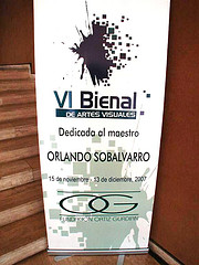 VI Bienal de Artes Visuales